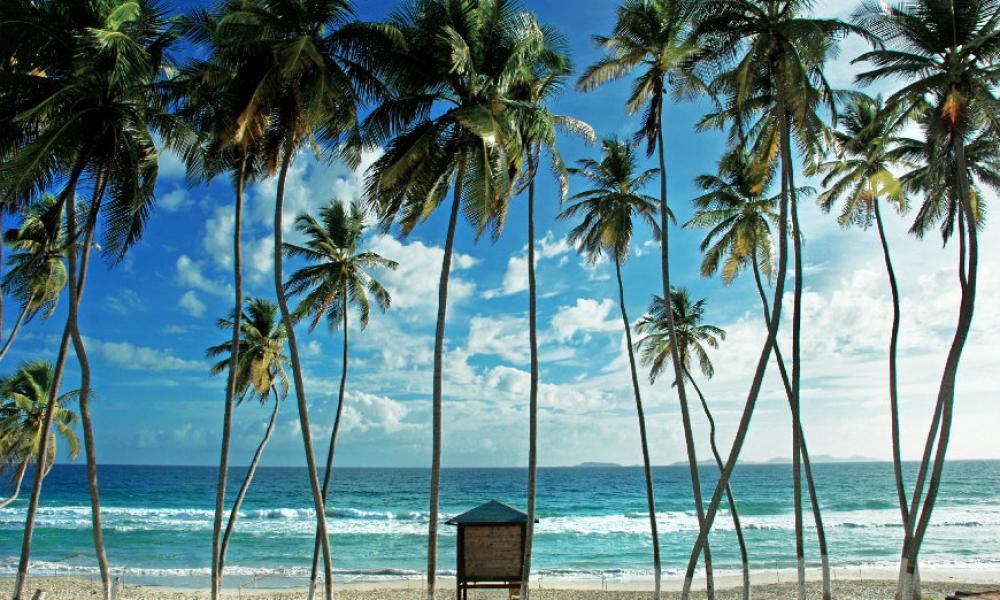 ZmEMn29z4d7MPYysvTji