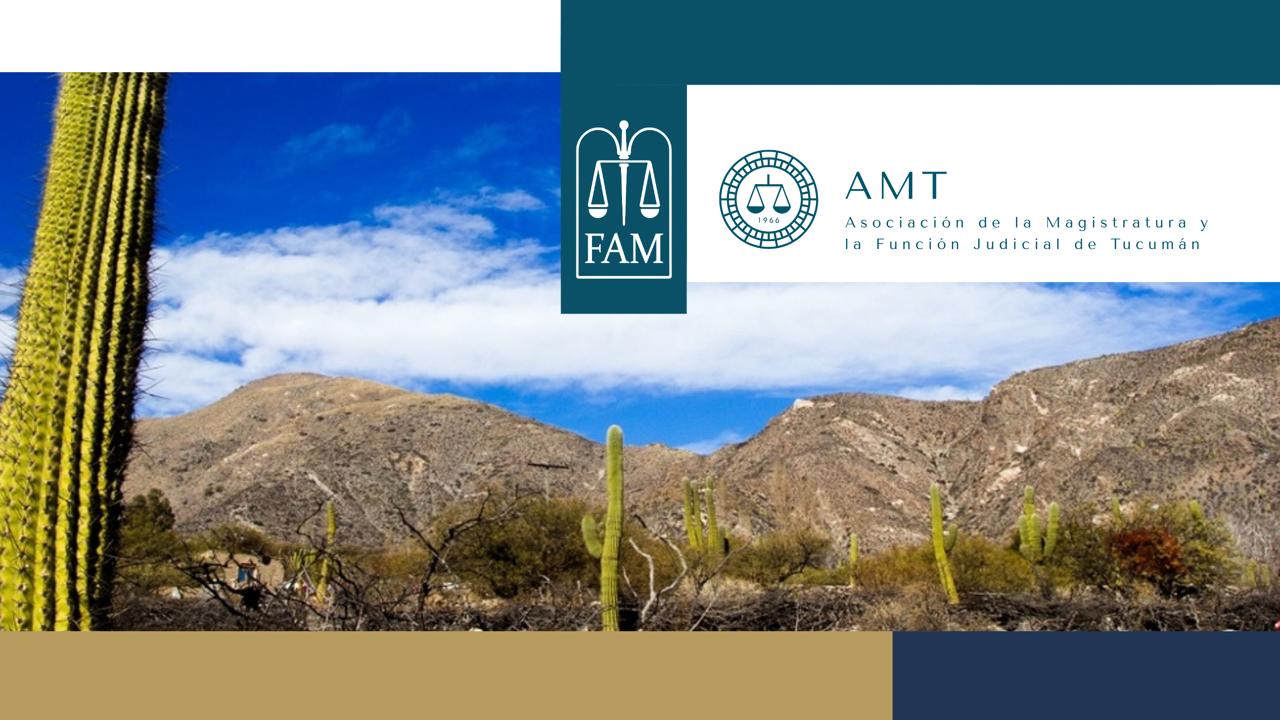 WhatsApp Image 2026-03-30 at 15.48.27